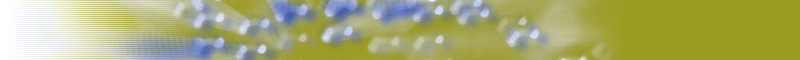 SolarMetric